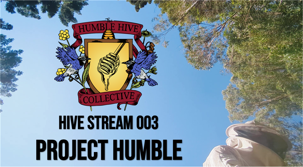 Hive Stream 003 Thumbnail